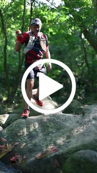 BIB:  <button type="button" onclick="openModal(28052814)" class="btn btn-primary btn-sm float-right" data-toggle="modal" data-target=".modal-high-quality">
                <i class="fa fa-download"></i> Download
                </button>